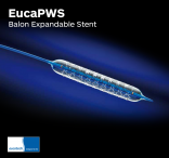Euca PWS Balon Expandable Stent System2