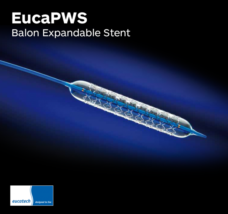 Euca PWS Balon Expandable Stent System