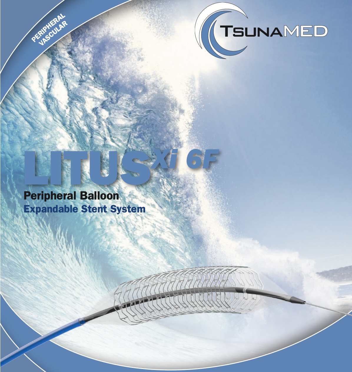 Litus Balon Expandable Stent System